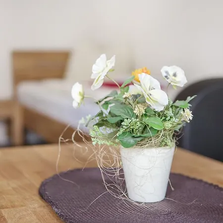 بيت ضيافة Schmidt