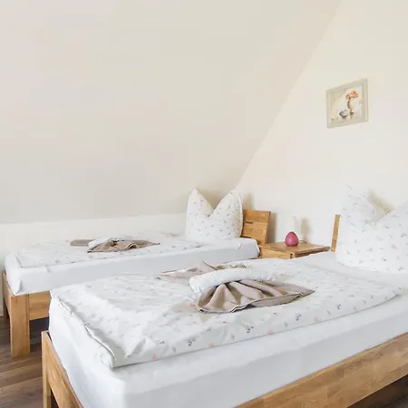 بيت ضيافة Schmidt