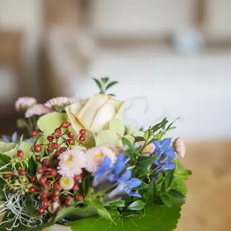 Schmidt 2* Rosengarten (Lower-Saxony)