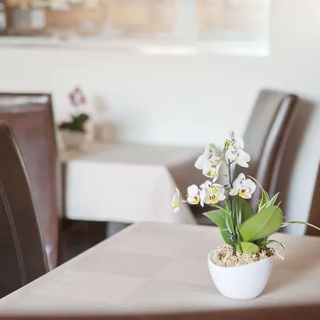 Schmidt بيت ضيافة